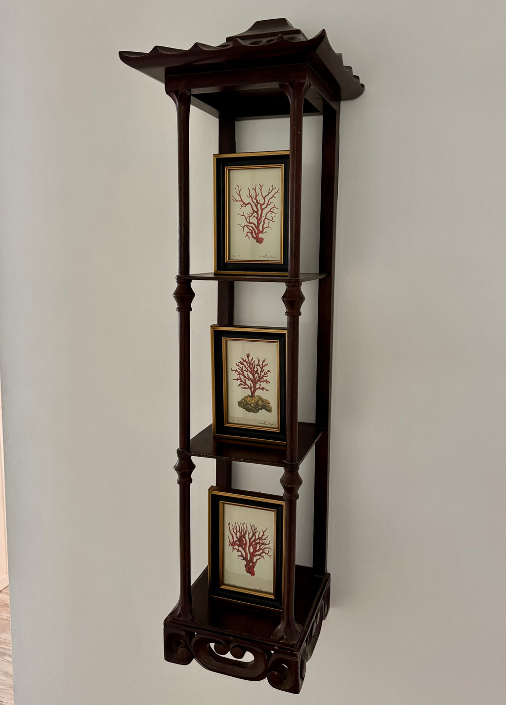 Set of 3 Coral Prints