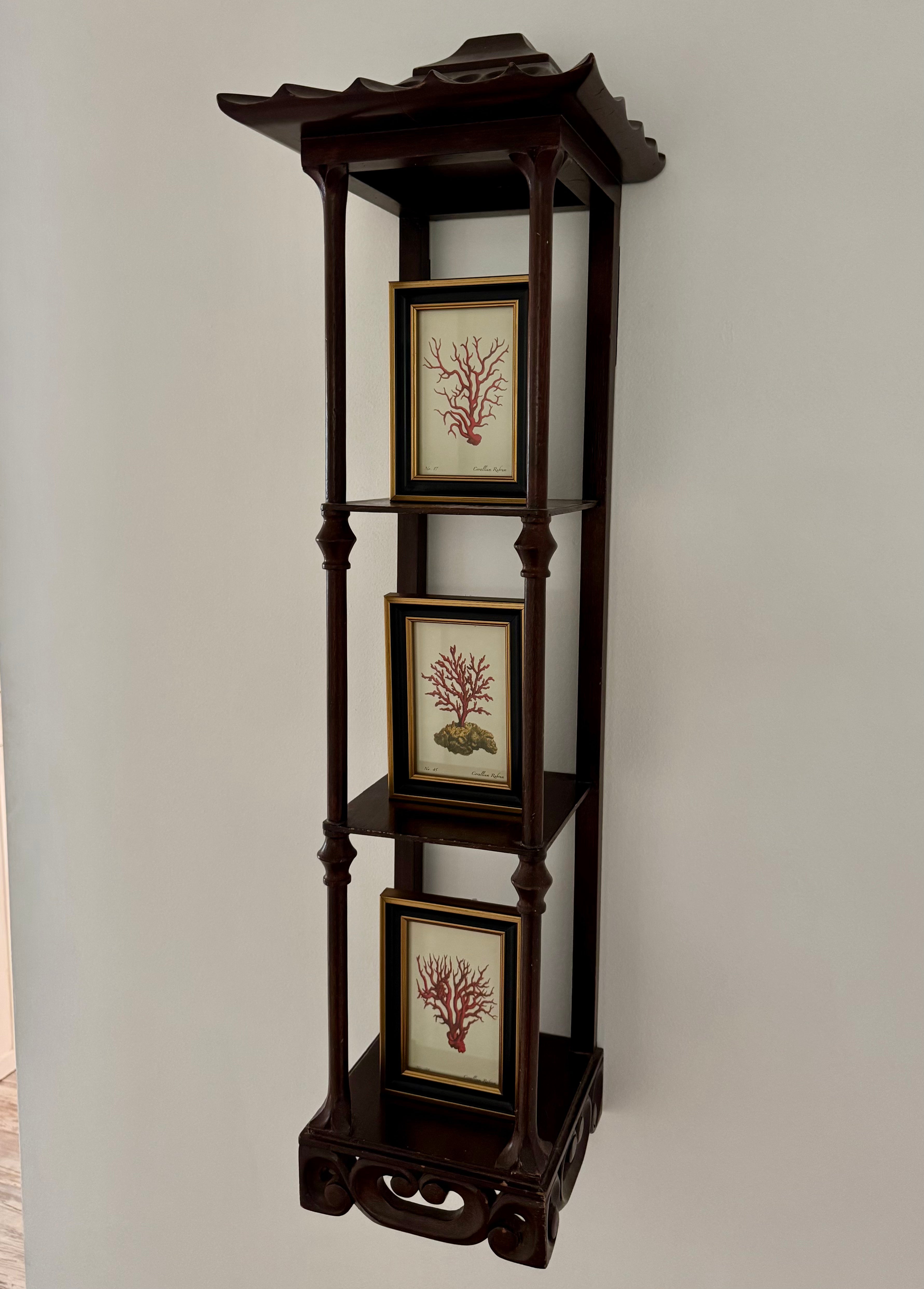 Set of 3 Coral Prints